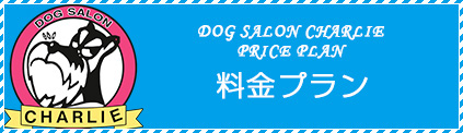 料金
