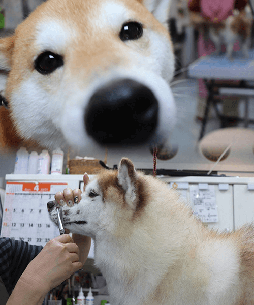 ドッグサロンCHARLIE