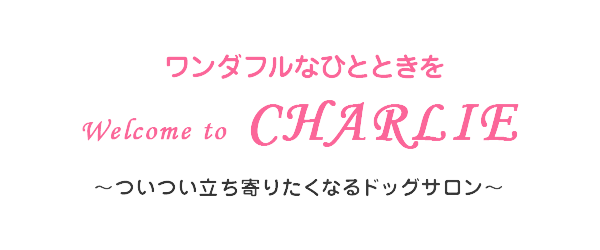 ついつい立ち寄りたくなるドッグサロンWelcome to CHARLIE